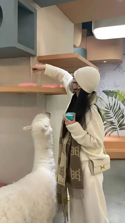 比赛集锦 4